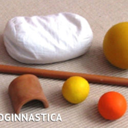 Fisioginnastica®