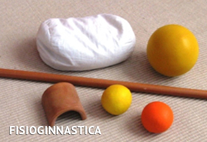 Fisioginnastica®